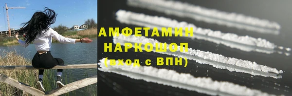крисы Алексин